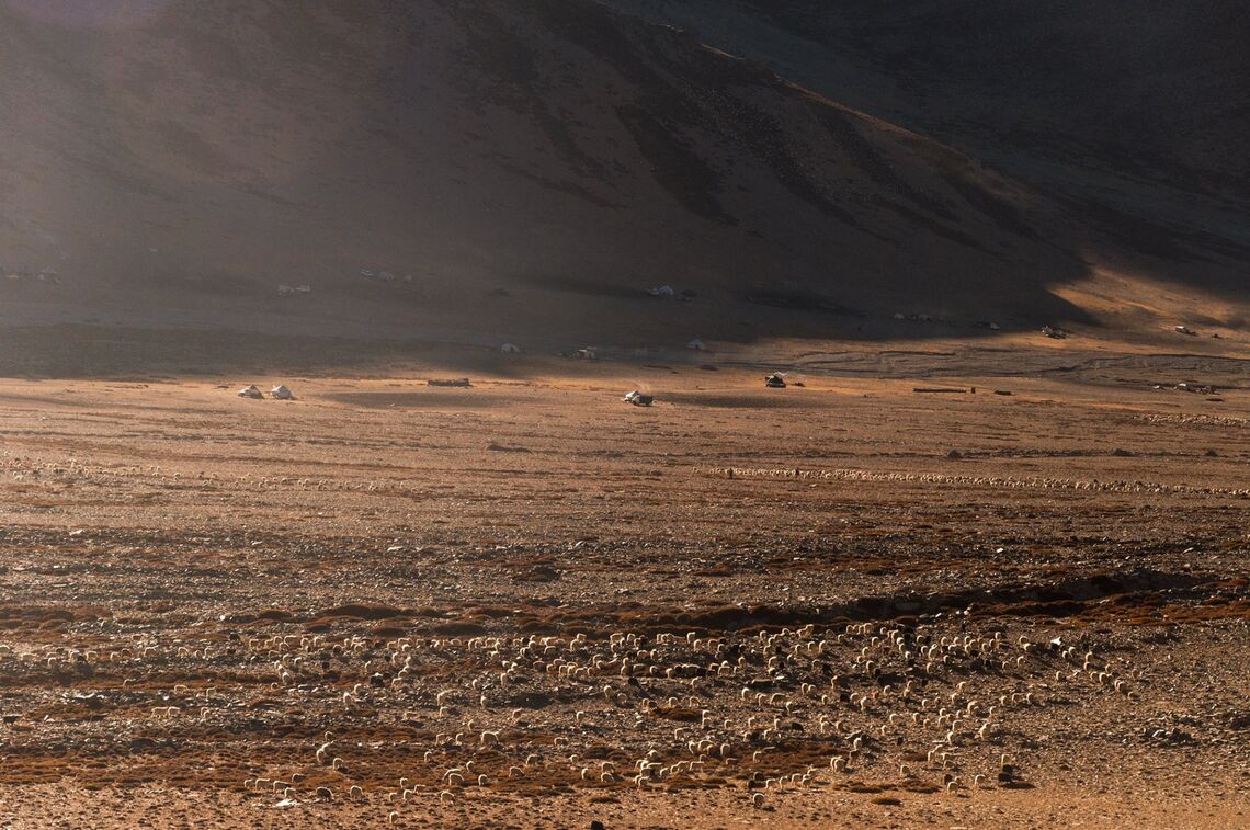 Địa hình ở Ladakh cho ta cảm giác rất thoải và rộng lớn, hùng vĩ và tự do