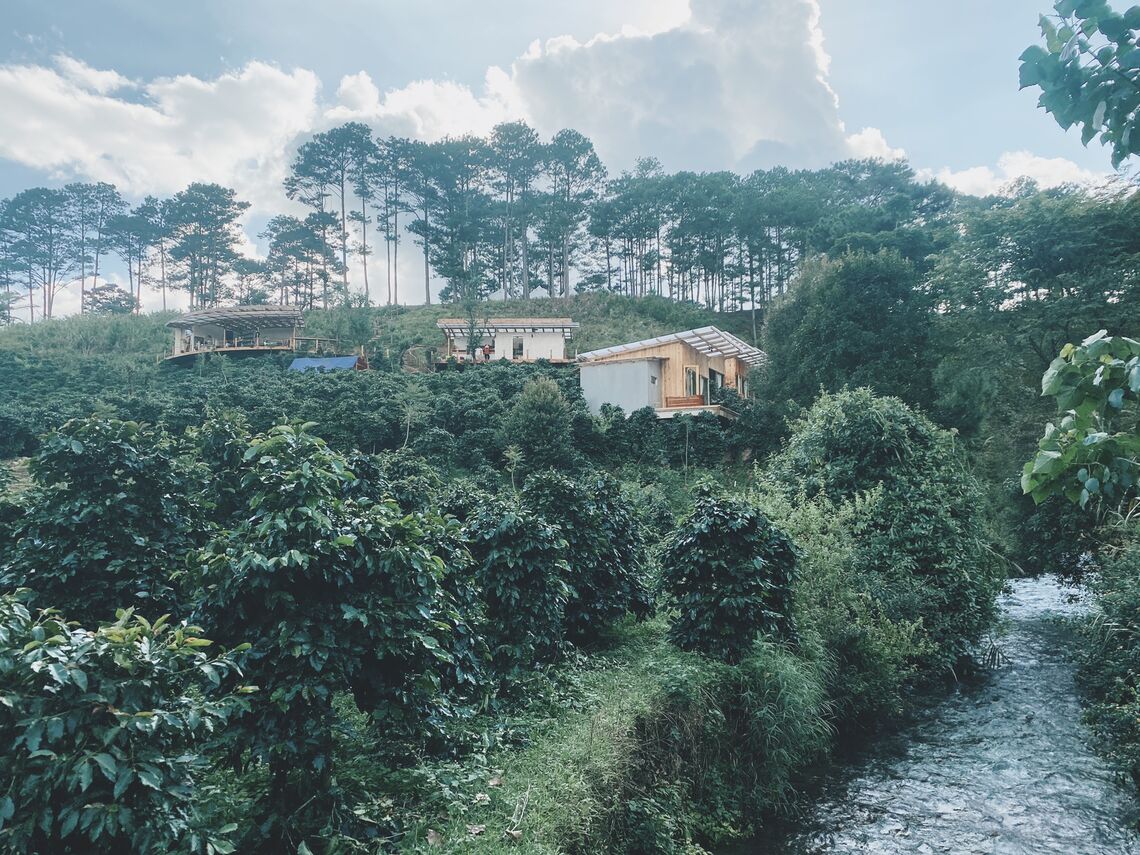 TBF lấp ló kia rồi