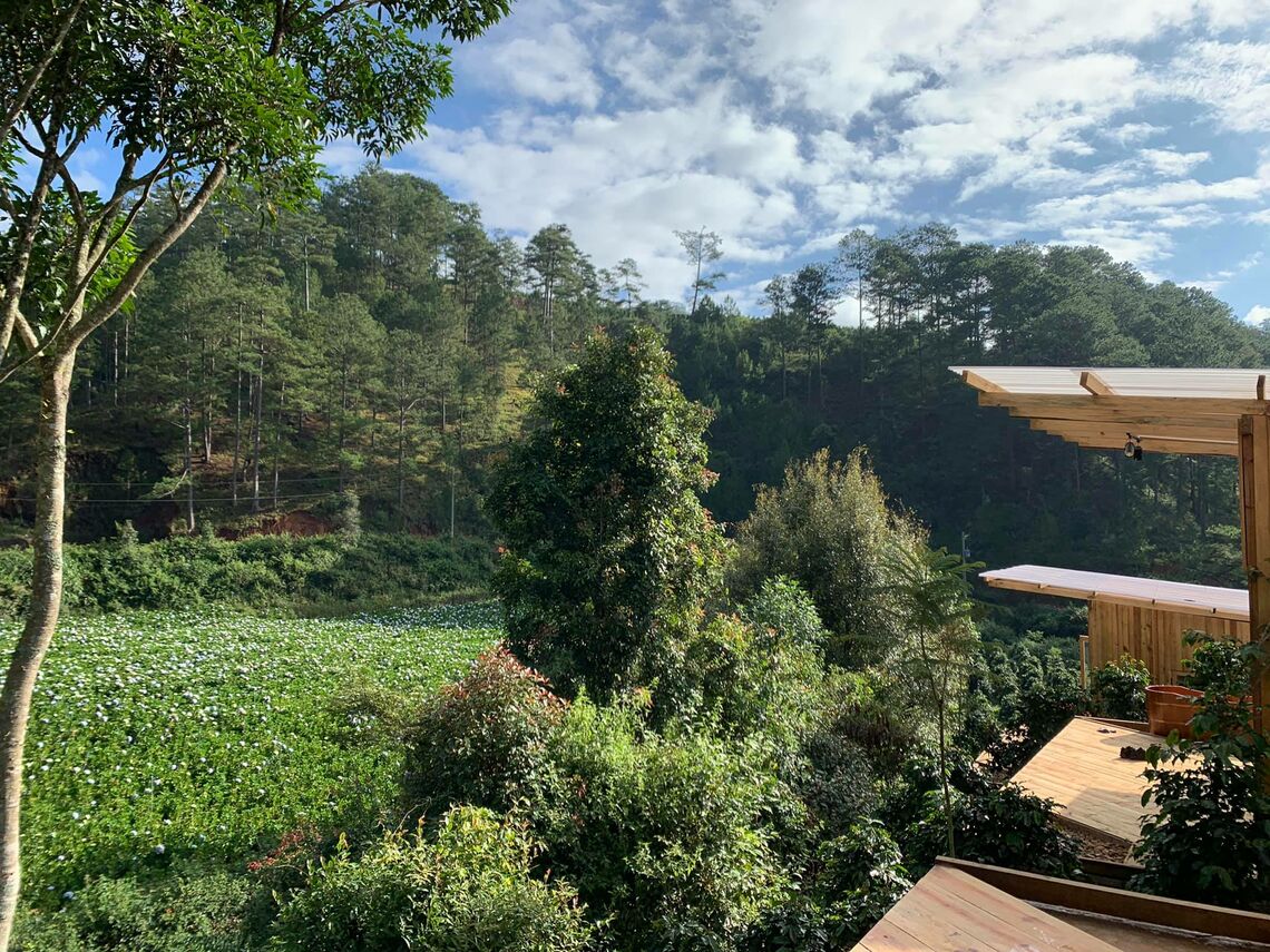 View từ nhà tắm