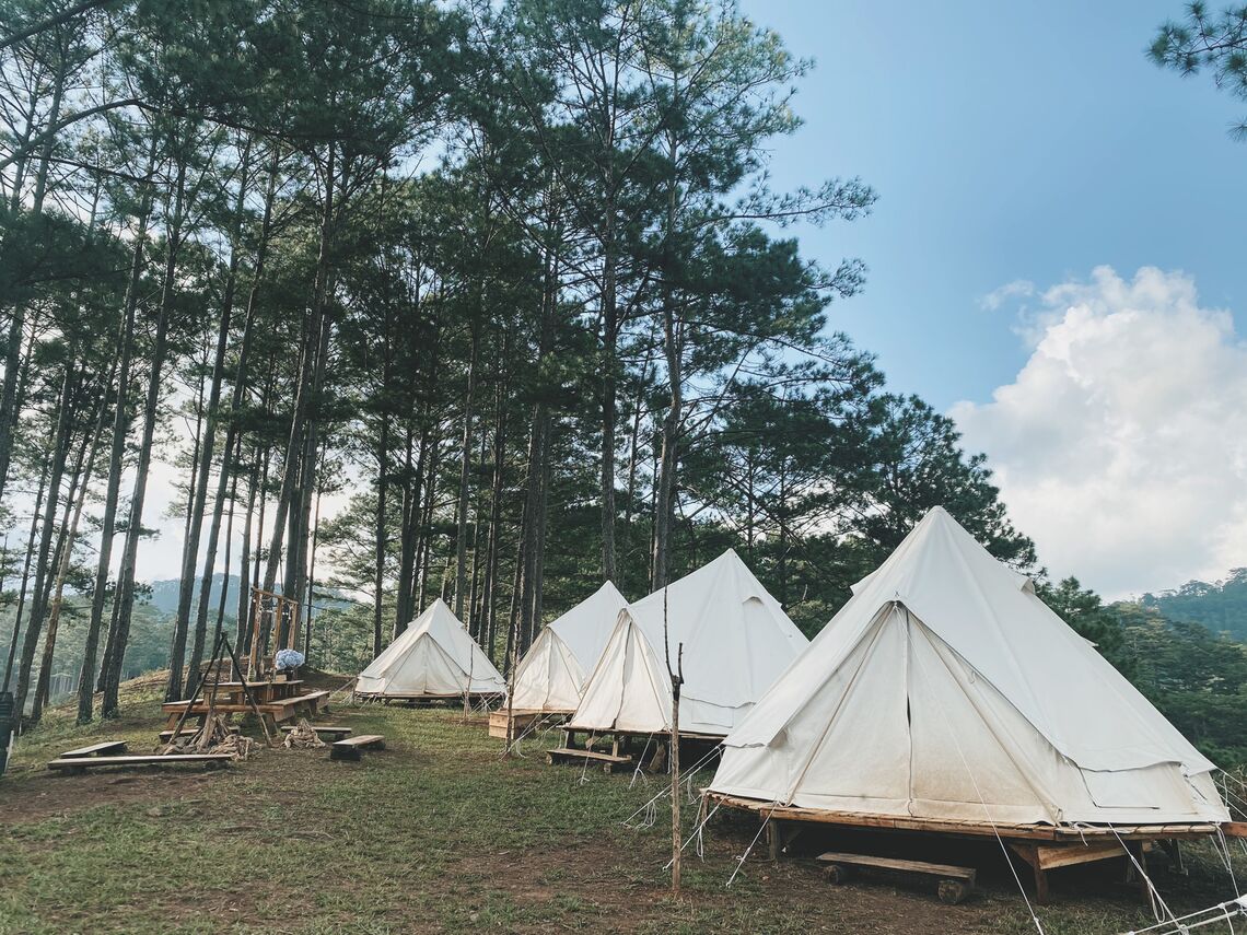 Khu camping nằm trên ngọn đồi thông thơ mộng