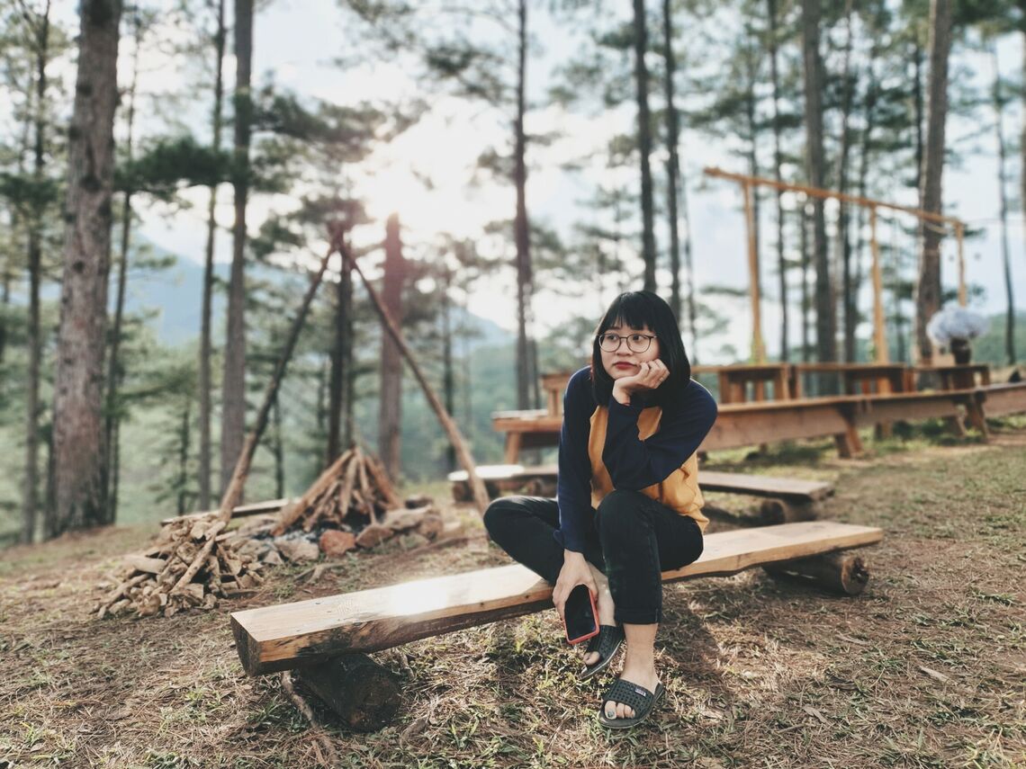 ánh nẵng cuối ngày trên rừng thông