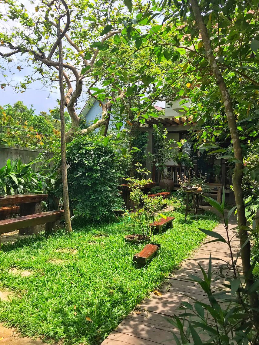 Vườn ở Cat House