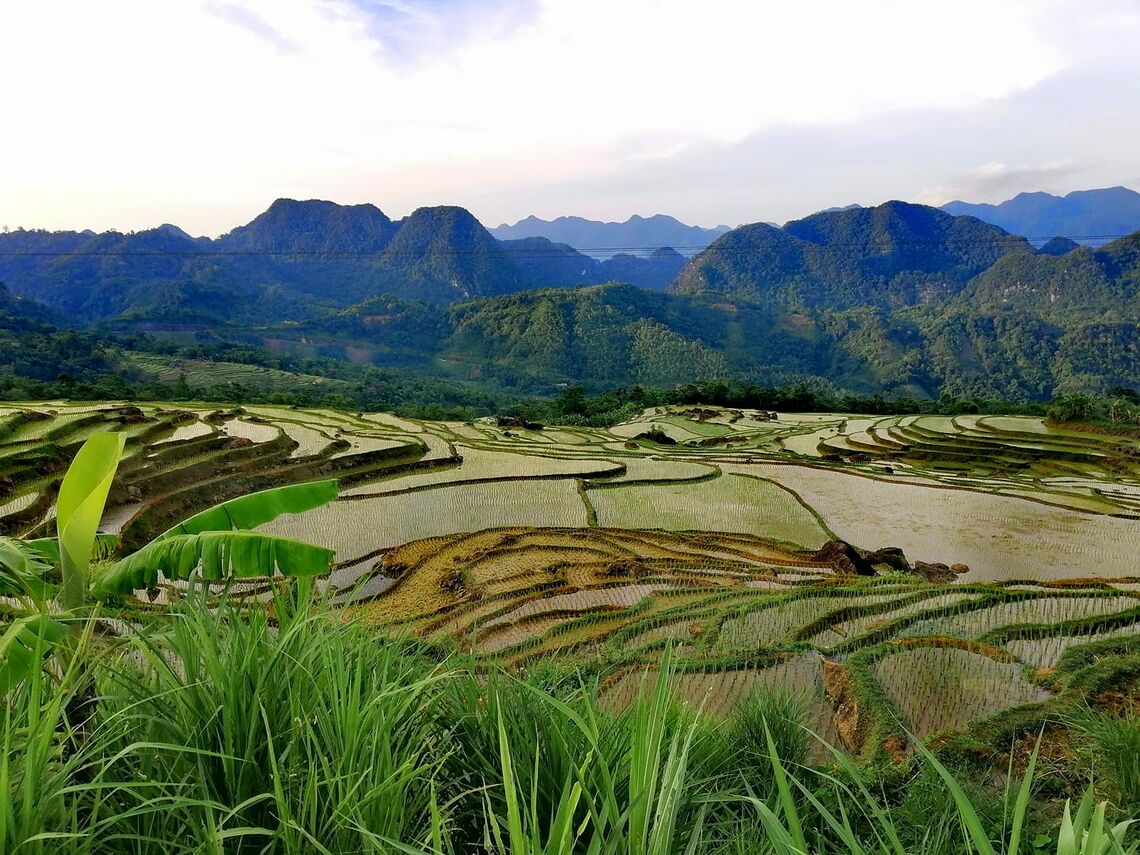 Pù Luông Thanh Hóa