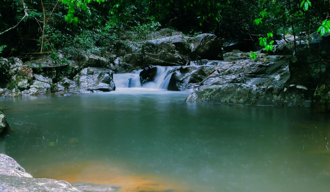 Ảnh: Trần Trí