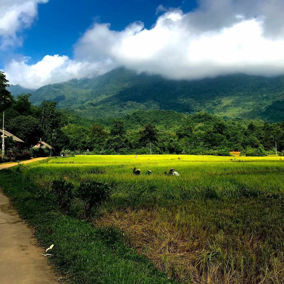 Bản Bước (Ảnh: FB. Ban Buoc Homestay)
