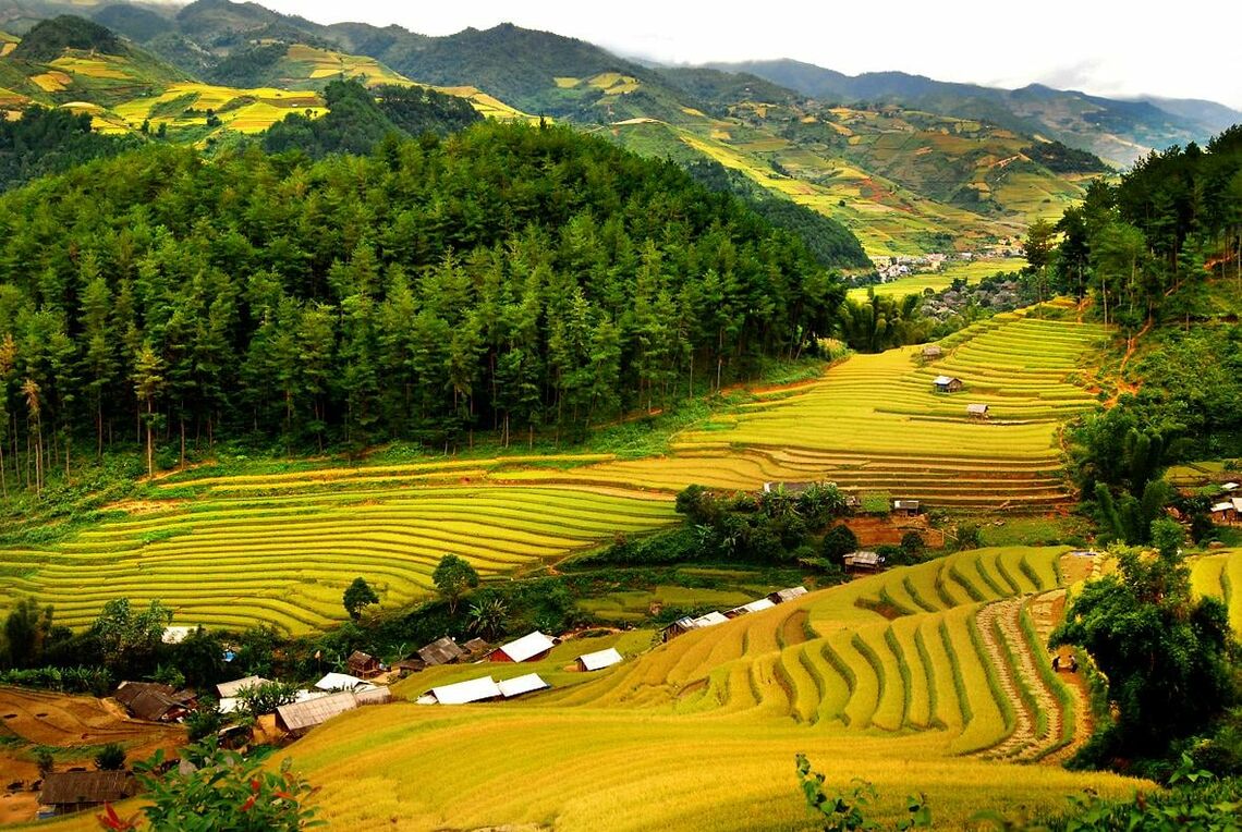 (Ảnh: FB. Bản Lác - Mai Châu, Hòa Bình)