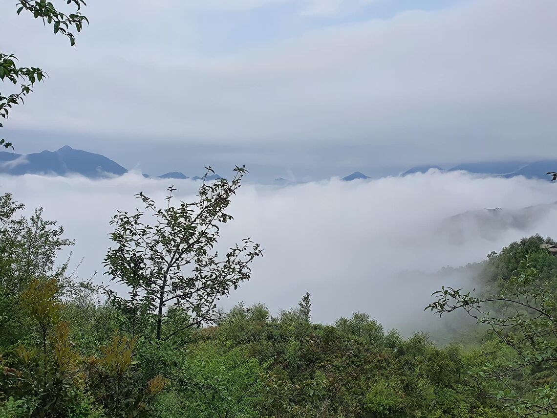 Săn mây tại Ngọc Chiến (Ảnh: Lê Mạnh)