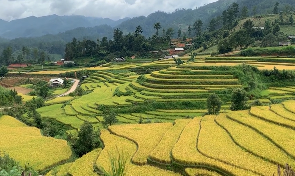 (Ảnh: fb. Pham Hoang Cong)