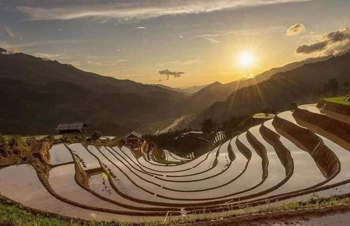 Mù Cang Chải mùa đổ nước (Ảnh: fb. Giàng Hạnh Phúc)