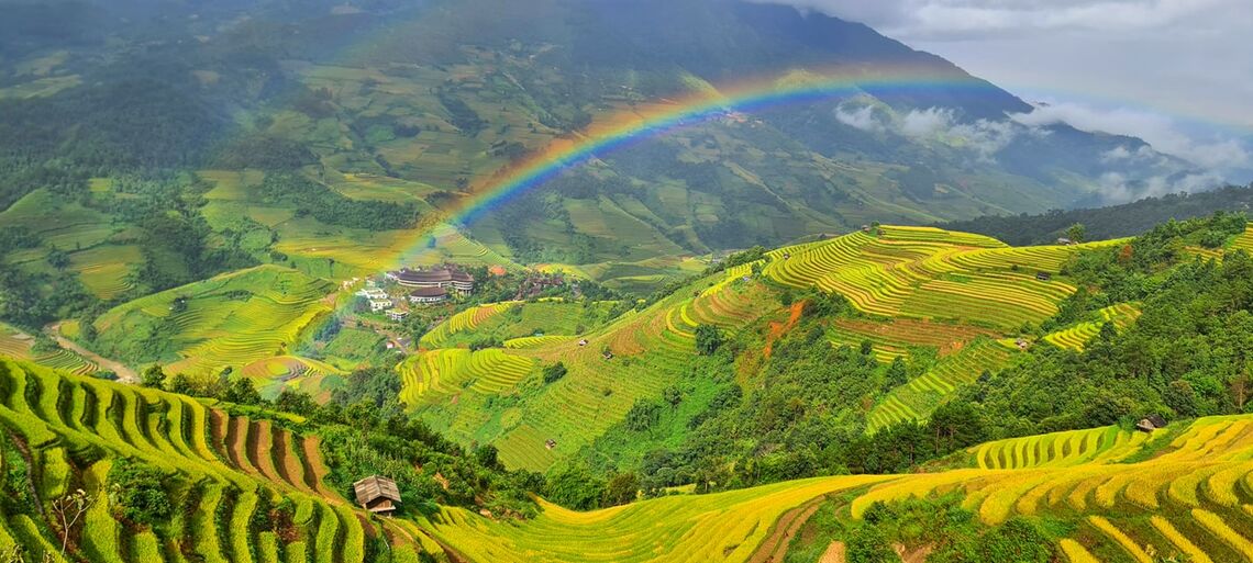 Đồi Mâm Xôi nhỏ (Ảnh: fb. Vua Ăn Mày)