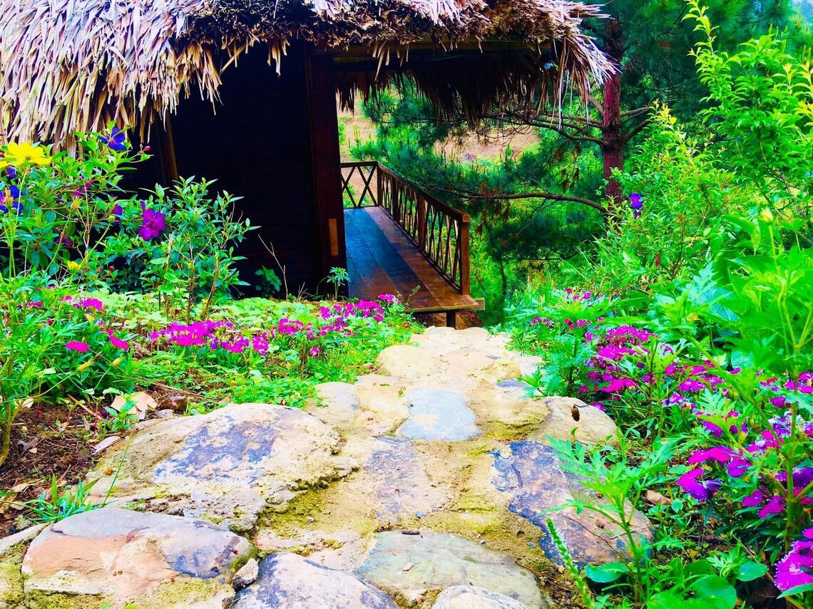 (Ảnh: fb. Hello Mu Cang Chai Homestay)