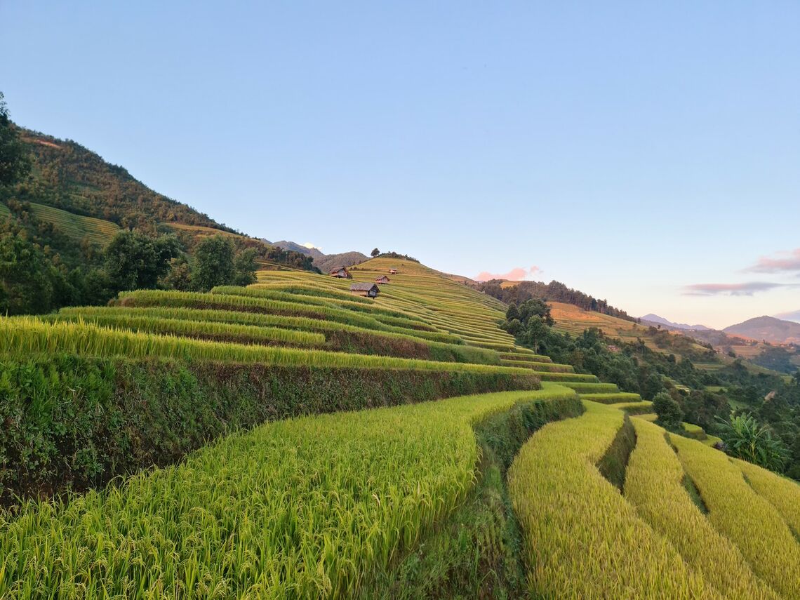Ruộng bậc thang Mù Cang Chải (Ảnh: fb. Vua Ăn Mày)