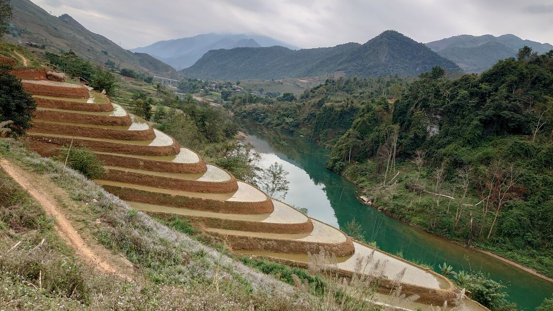Những thửa ruộng bậc thang mới cấy mạ (Ảnh: fb. Ant Travel)