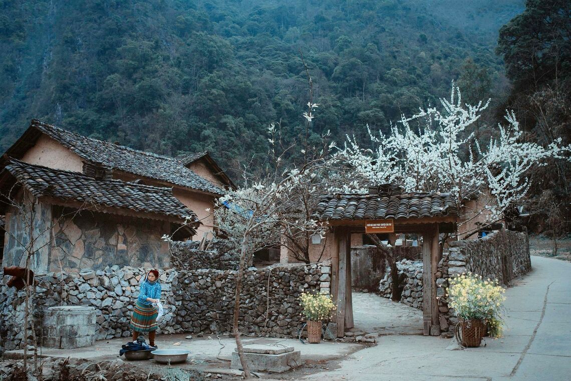 (Ảnh: fb. Nhà của Pao - Đồng Văn, Hà Giang)