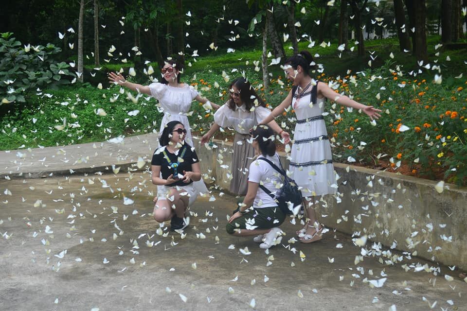 Bươm Bướm-FB. Vườn Quốc Gia Cúc Phương
