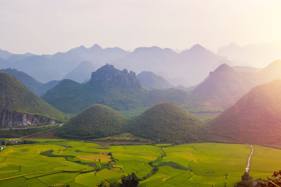 Cánh đồng tại Hoàng Su Phì (Ảnh: fb. Hoang Su Phi Lodge)