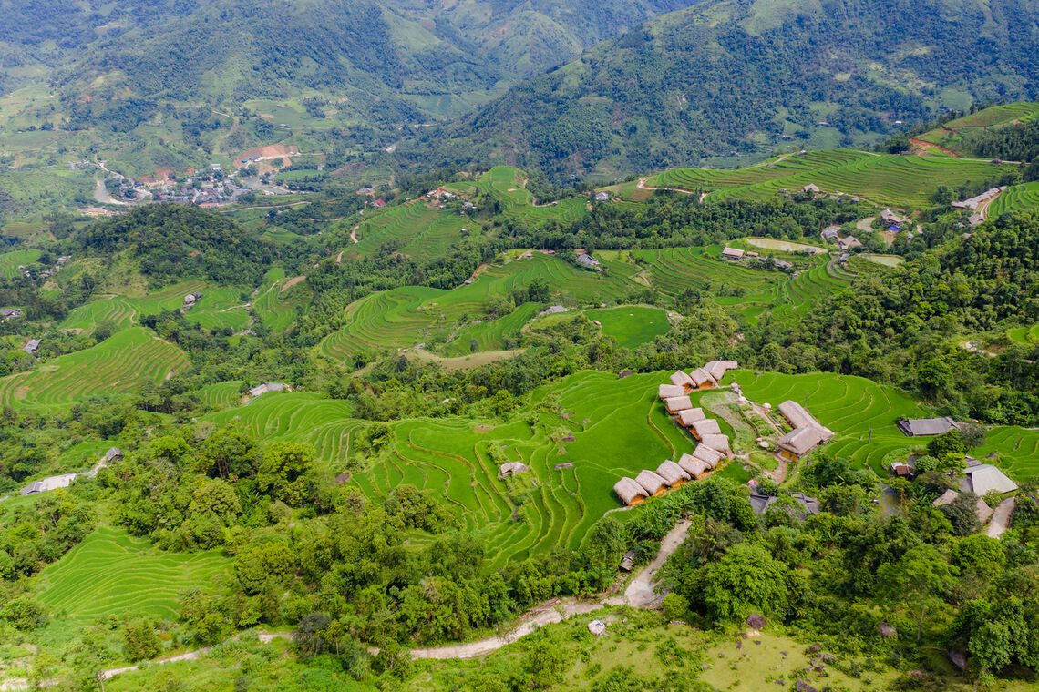 Ruộng bậc thang Thông Nguyên (Ảnh: fb. Hoang Su Phi Lodge)