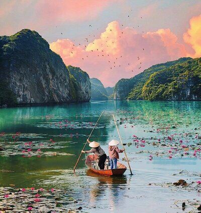 Ảnh: vietnamihlat.