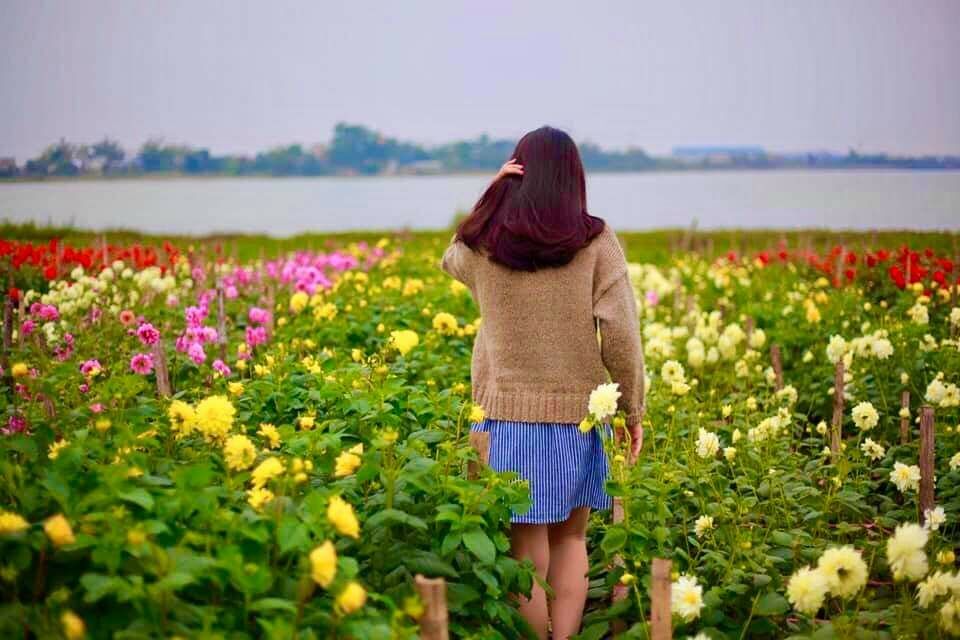FB. Bách Thuận Garden Village