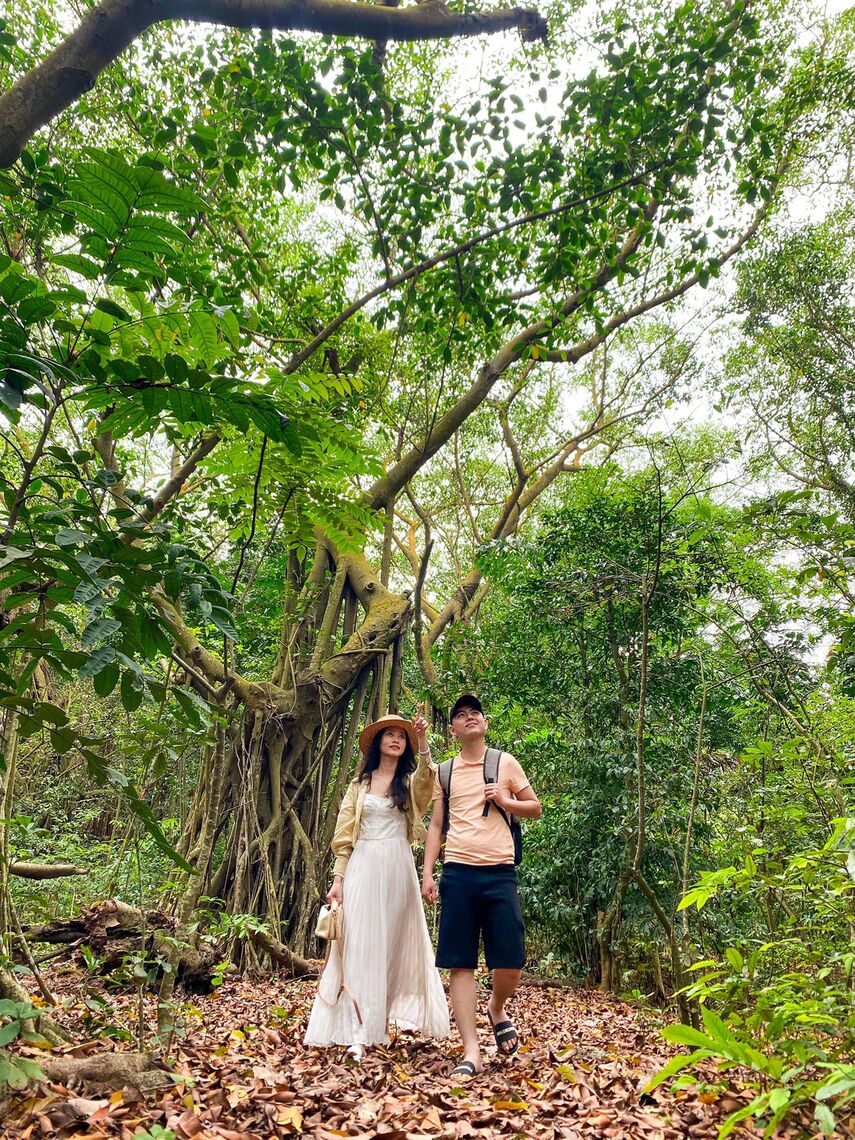 FB. Sở du lịch Hải Phòng.