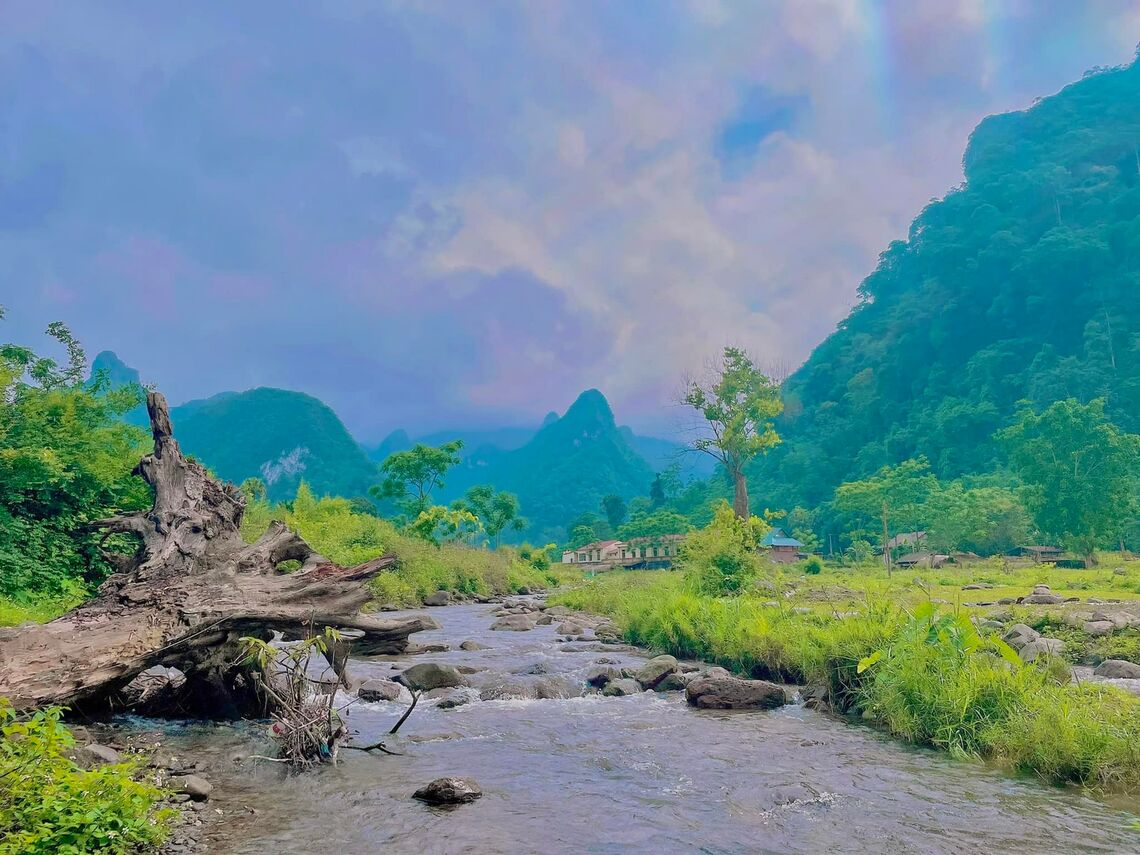 (Ảnh: fb. Vườn quốc gia Xuân Sơn - Tân Sơn - Phú Thọ)