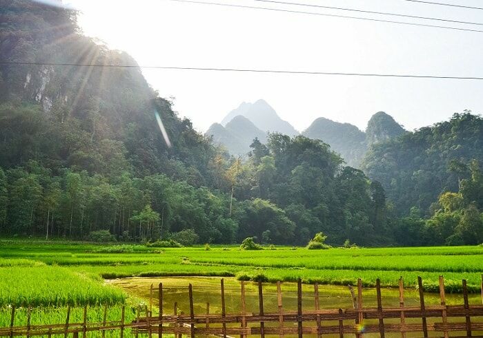 Bản Cỏi (Ảnh: Internet)