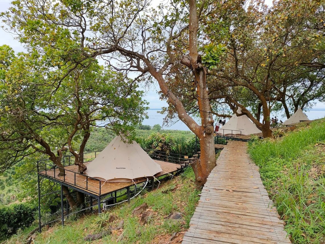 Ảnh: Tropical Eglamping