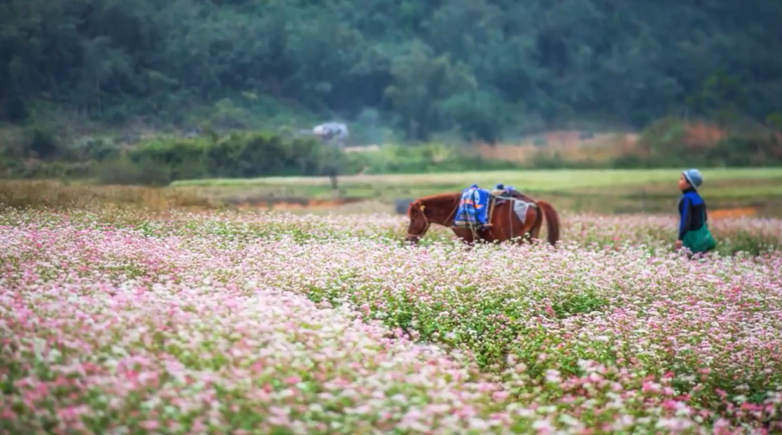 (Ảnh: fb. Du Lịch Bắc Sơn Lạng Sơn)