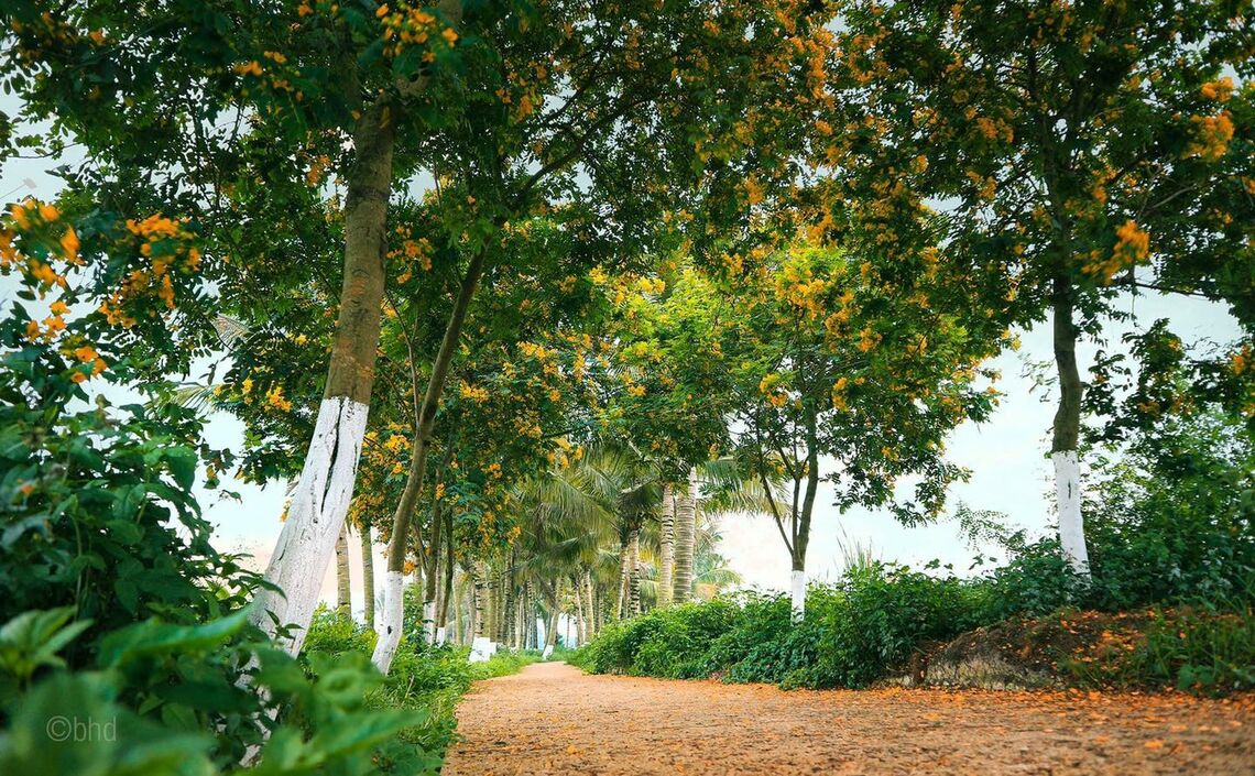 Fb. Khu đô thị xanh Ecopark Hưng Yên