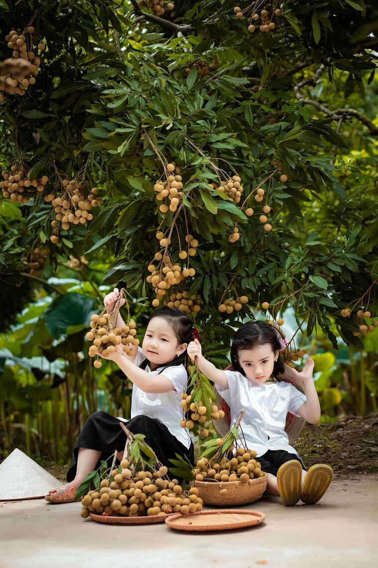 Nhãn lồng-Fb.Khánh Ly San