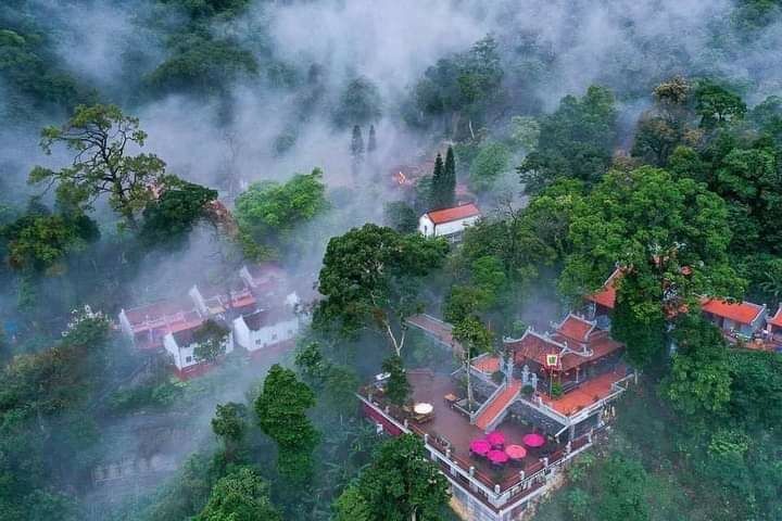 Fb. Nguyễn Thị Giang