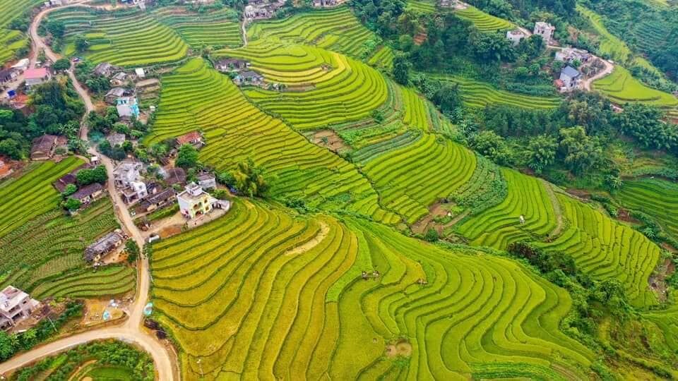 Ruộng bậc thang bản Cao Thắng khe O (Ảnh: fb. Lâm Vi)