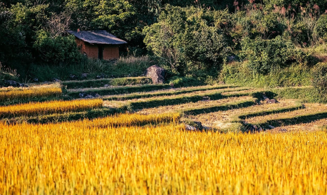 (Ảnh: fb. Chi Hội Hướng Dẫn Viên Du Lịch Quảng Ninh)