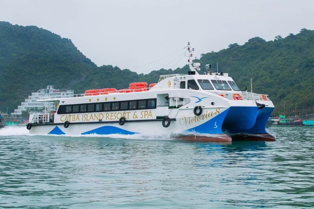 Tàu cao tốc-ảnh:internet