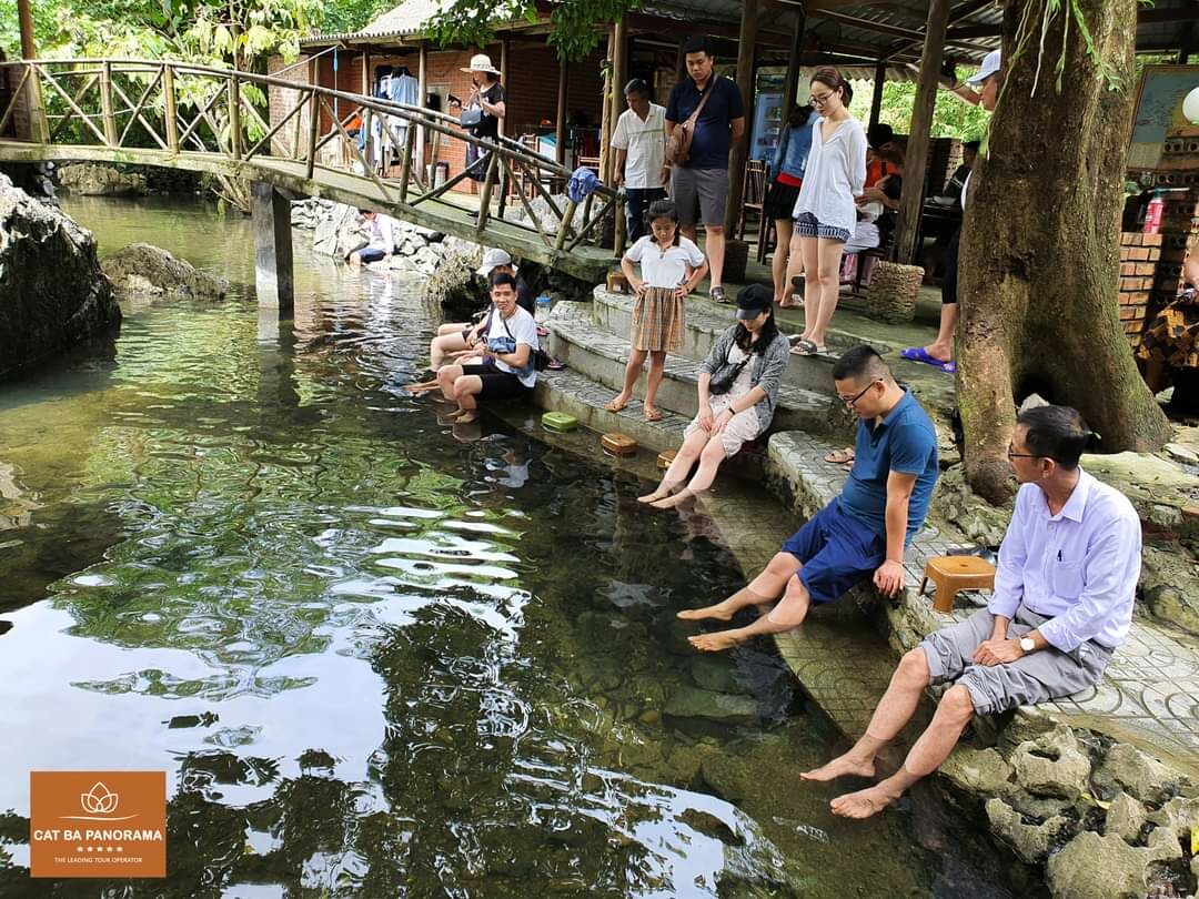 Cá Massage-Fb. Cát Bà Panorama