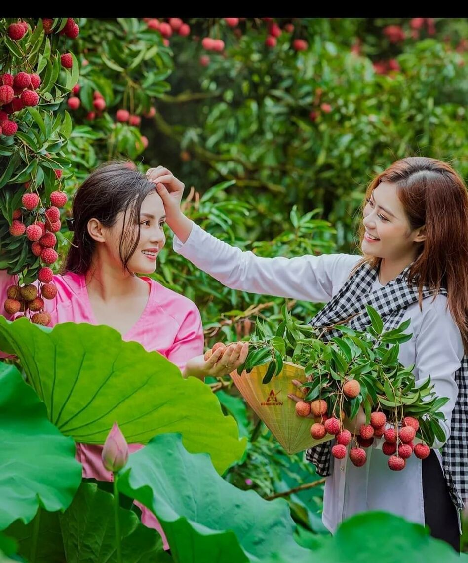 Vải thiều-Fb. Luyến Vũ