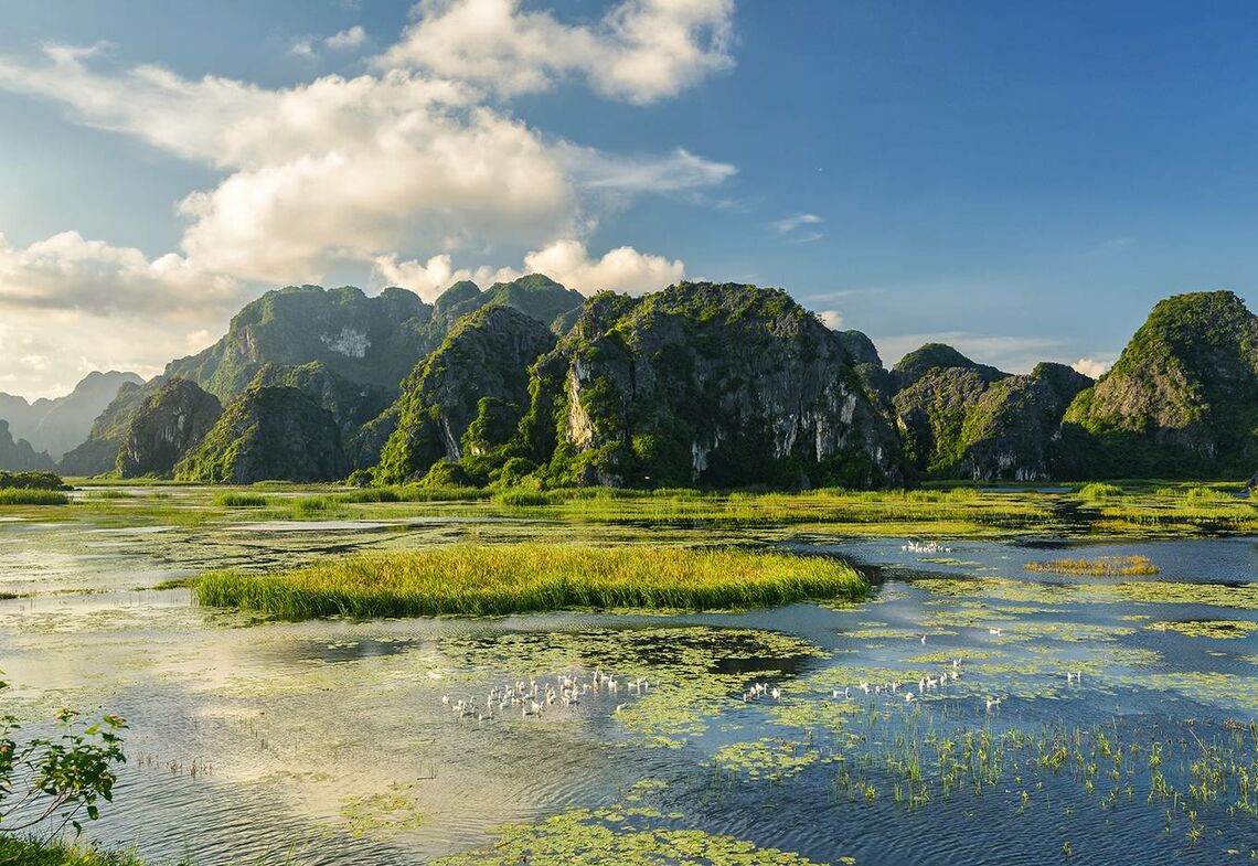 (Ảnh: fb. Đầm Vân Long, Ninh Bình)