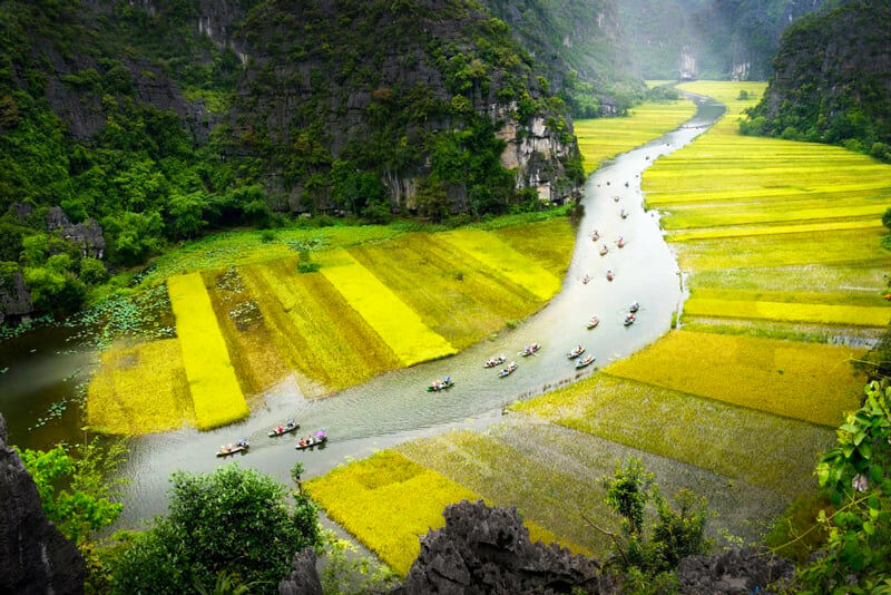 (Ảnh: fb. Lê Văn Phúc)