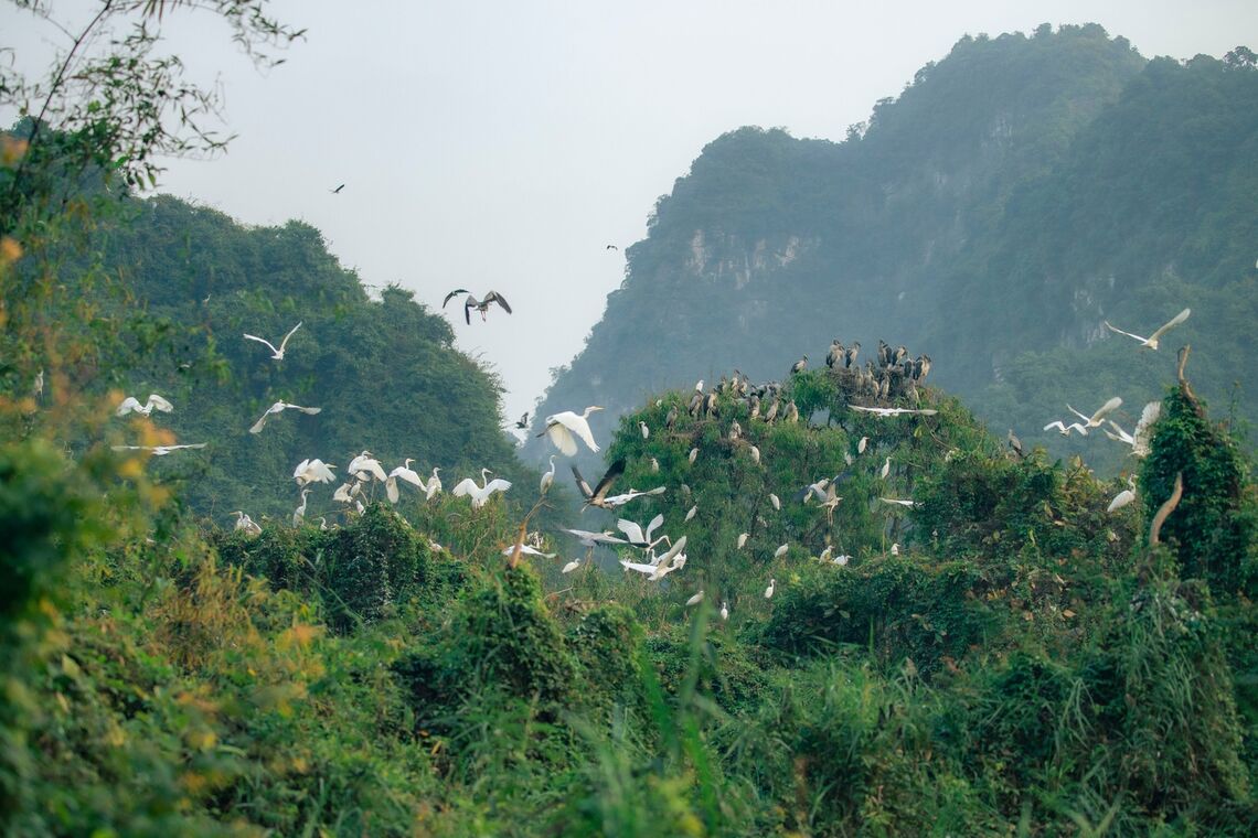 (Ảnh: fb. Khu du lịch sinh thái Thung Nham - Ninh Bình)