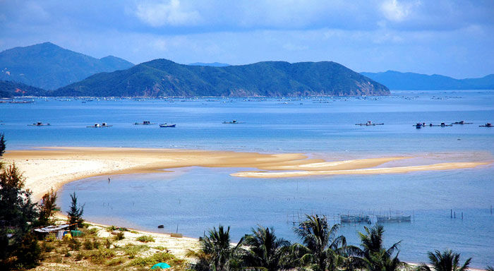 (Ảnh: fb Thiên Cầm)