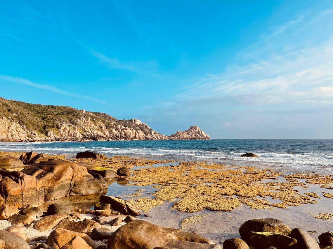 (ảnh: fb. Whale Island Resort Vietnam)