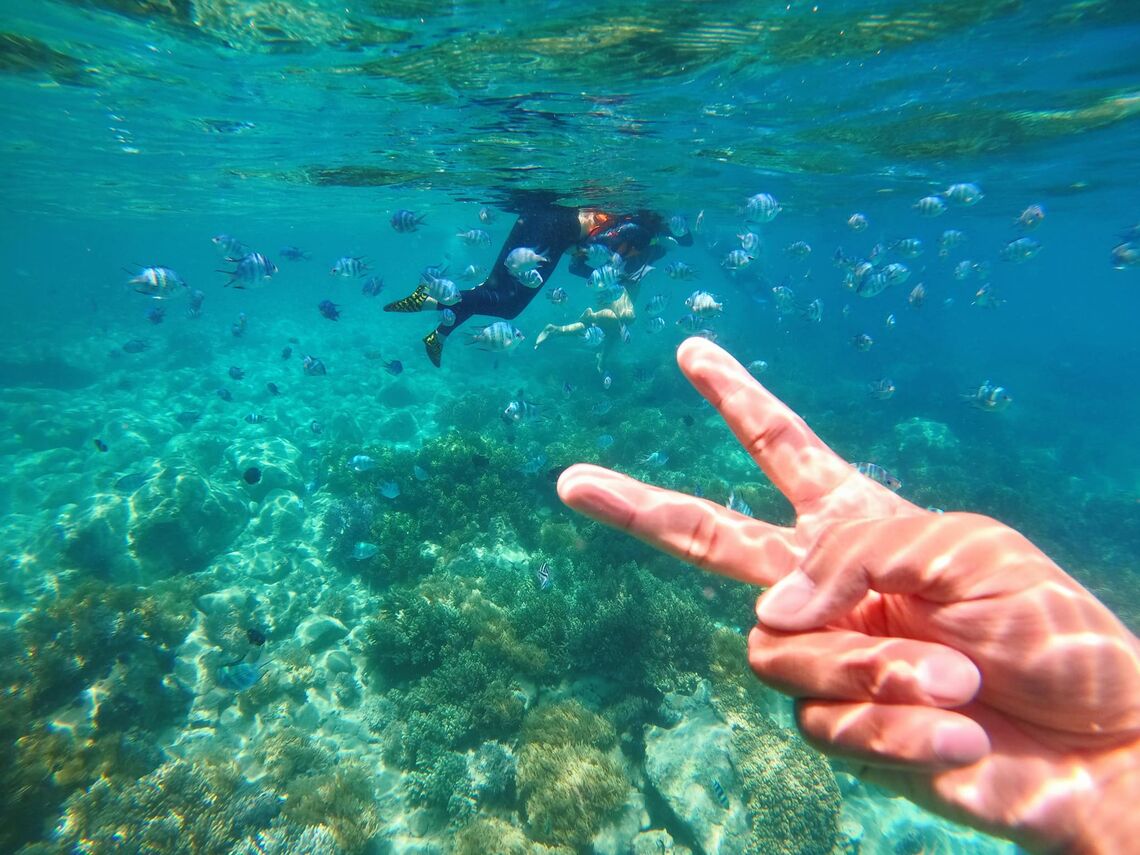 (Ảnh: fb. REVIEW NHA TRANG)