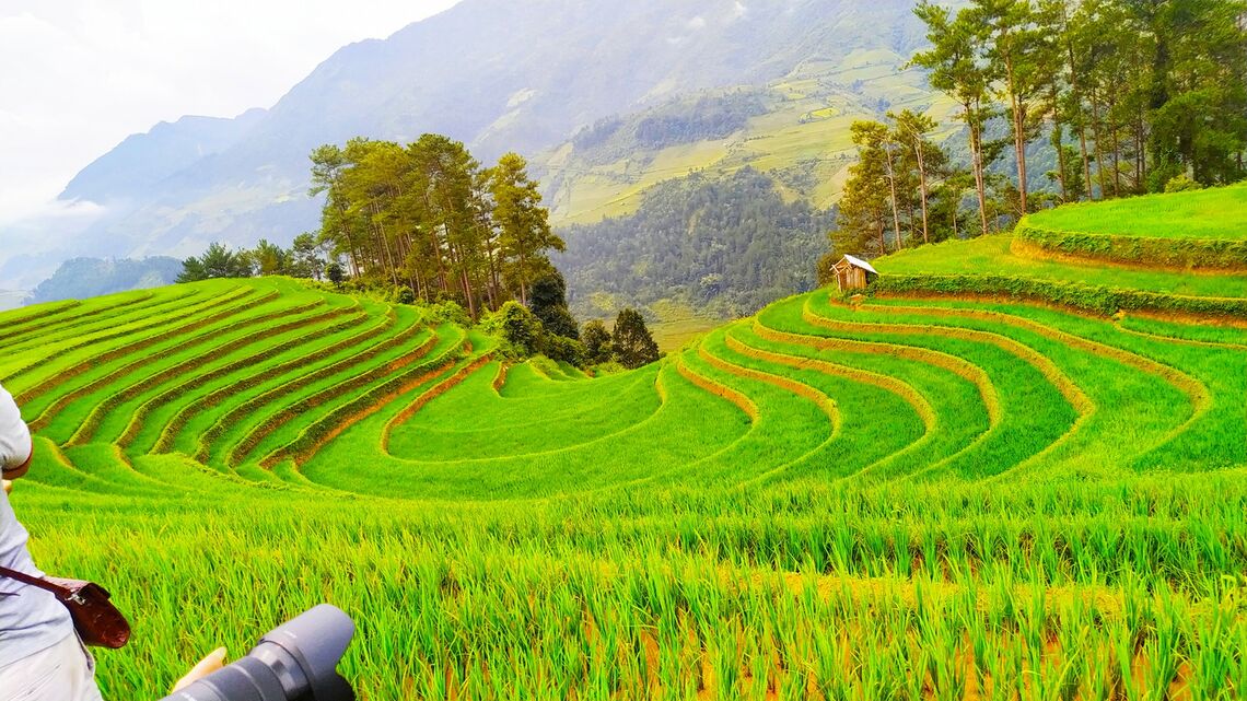 Khi đến Mù Cang Chải thì đây là điểm ngắm lúa nhất định mọi người phải ghé đến. Ảnh: FB@huycuong
