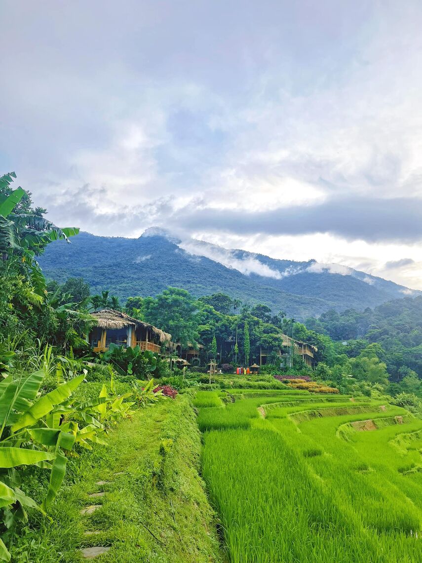 Tới giữa tháng 10, các thửa ruộng bậc thang tại xã Ban Công, bản Đôn, bản Hiêu, bản Kho Mường... ở Pù Luông dần vào vụ thu hoạch. Ảnh: FB@truongngocanh