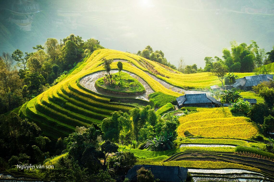 Review mùa thu ở Hoàng Su Phì với không gian nên thơ, những nếp nhà đan xen giữa những thửa ruộng bậc thang. Ảnh: FB@nguyenvanson