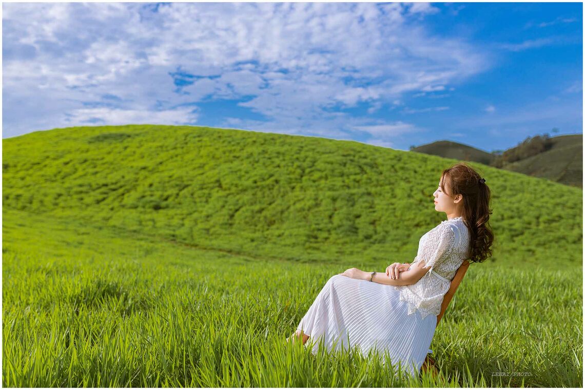 Đồng cỏ này không nằm trong các khu, điểm du lịch mà là nơi trồng cỏ phục vụ chăn nuôi bò sữa nên du khách đến tham quan, chụp ảnh hoàn toàn miễn phí. Ảnh: FB@anhnguyet