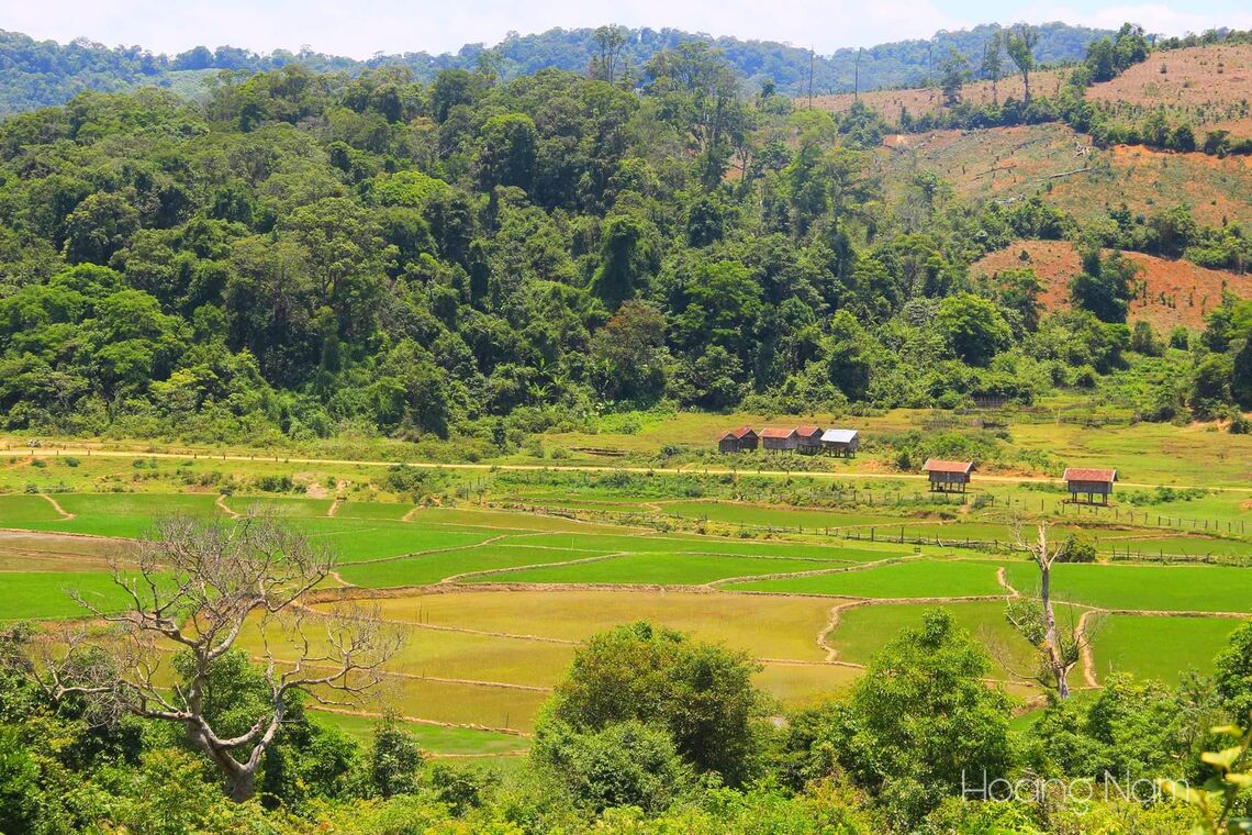 Khung cảnh hữu tình nơi đèo. Ảnh: FB@nguyenhoangnam