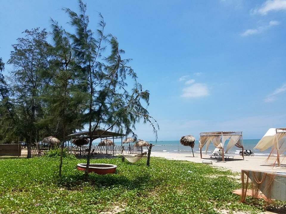 (Ảnh: fb. Vương Huyền Linh)