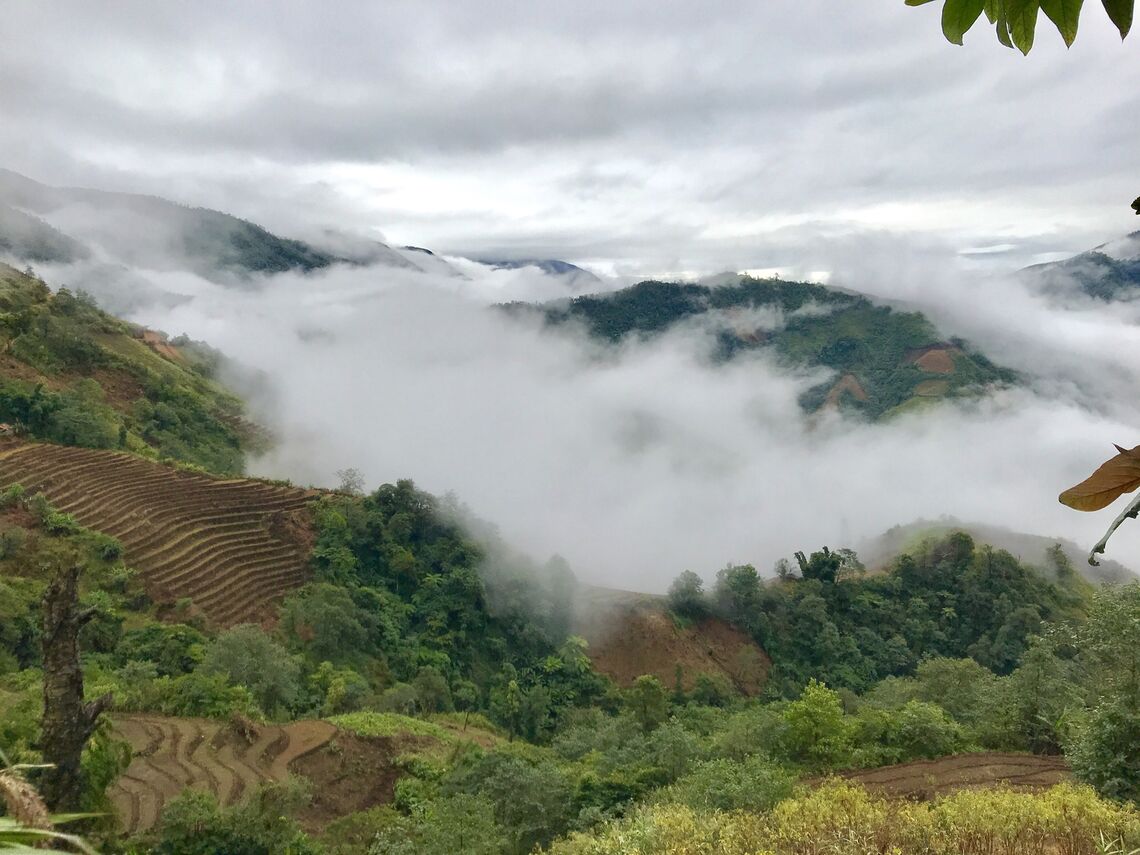 Phong cảnh và thảm thực vật tại đỉnh Pusilung (Ảnh: fb. Gomuno Trekking)