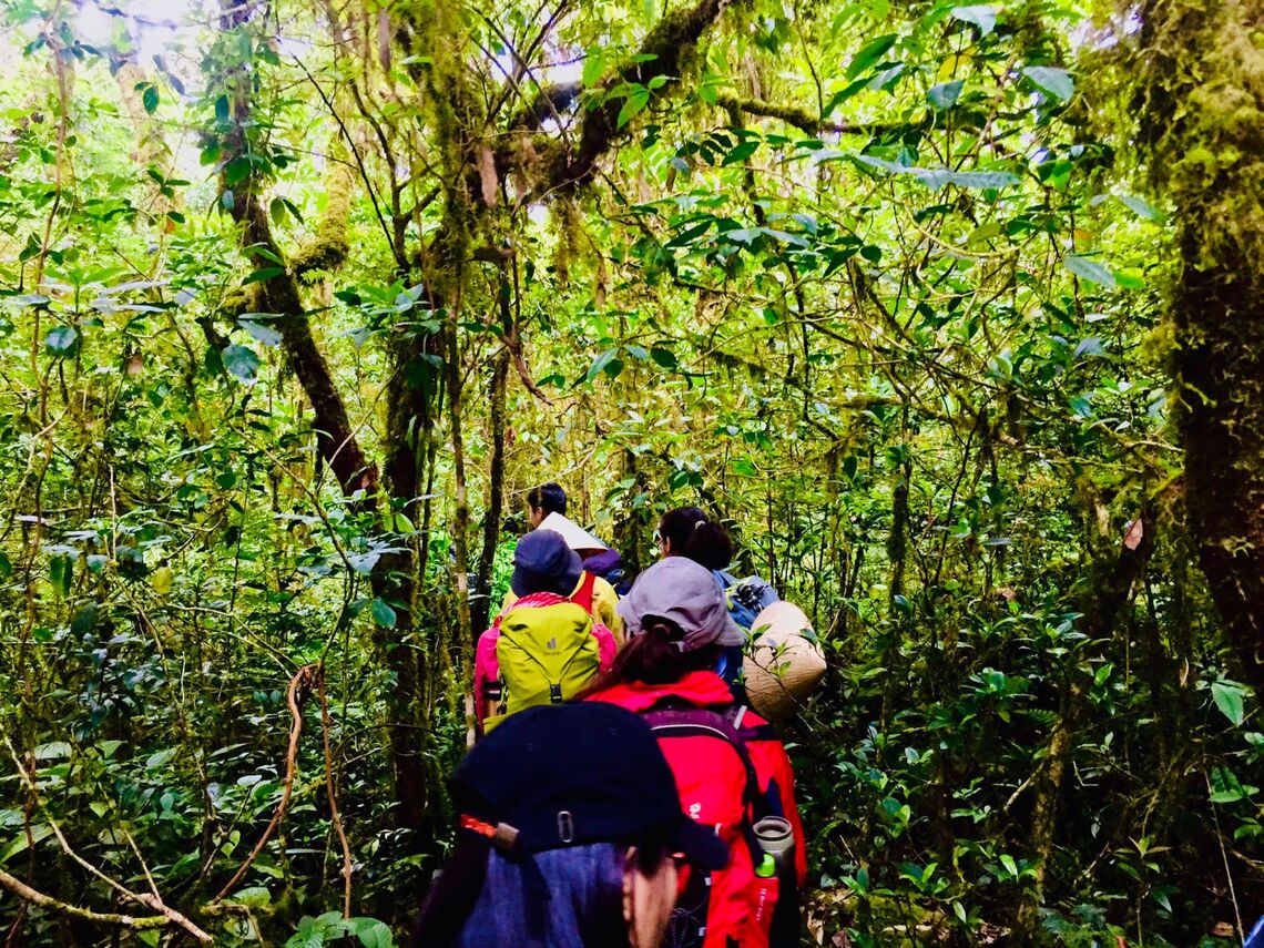 (Ảnh: fb. Vườn quốc gia Bidoup Núi Bà / Bidoup Nui Ba National Park)